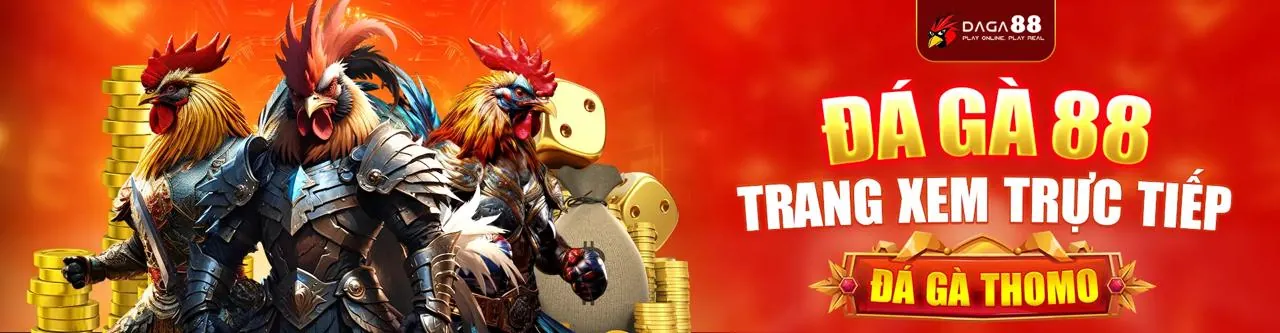 Đá Gà Trực Tuyến Vibet Login 2026 với những trận đấu gà kịch tính và hấp dẫn